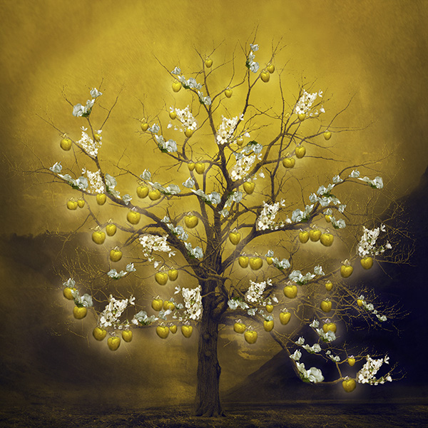 The Tree of Life Art by Eva Timothy